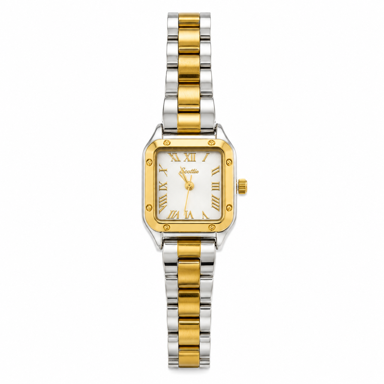 Tamy Bicolor Watch