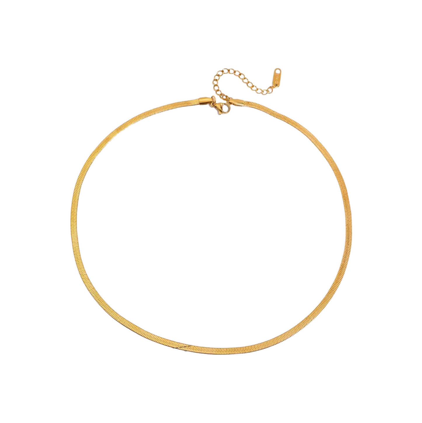 Little Snake Necklace Gold💧